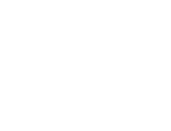 Thank you to Luis and  Willie for creating  such an amazing  evening for Elizabeth’s  Quinceañera!